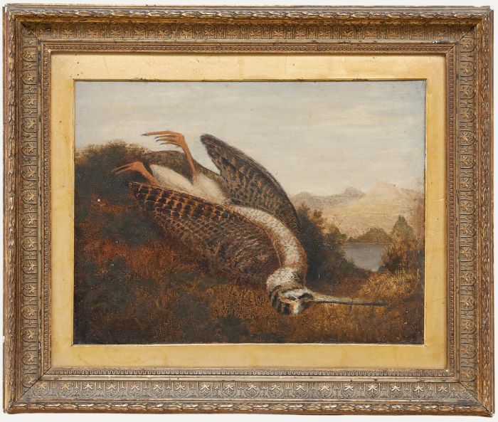 Framed 19th Century Oil - Dead Snipe