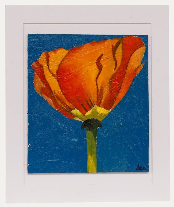 Ben Carrivick - Contemporary Oil, Orange Tulip