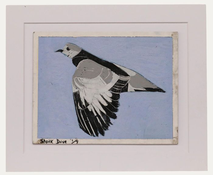 Ben Carrivick - Contemporary Oil, Stock Dove
