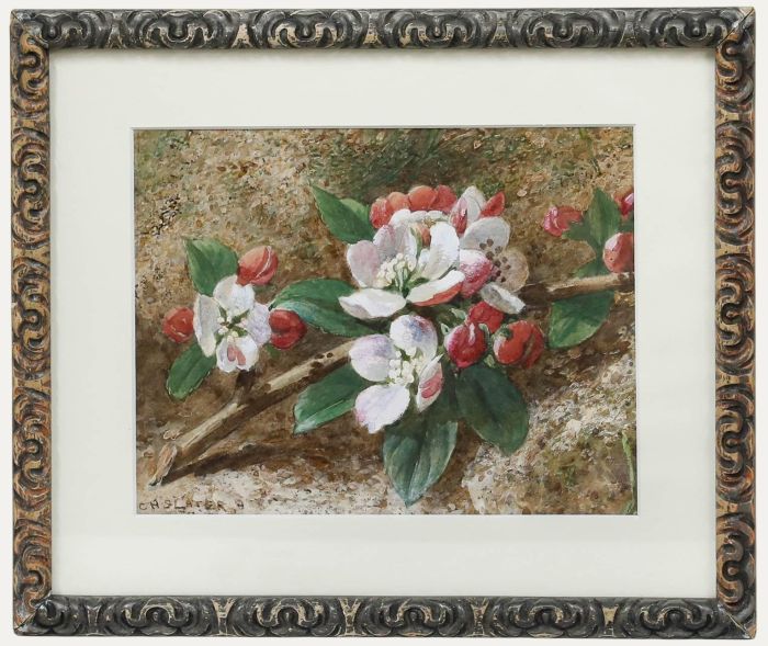 Charles Henry Slater (1820-1890) - Framed Watercolour, Blossom on a Branch