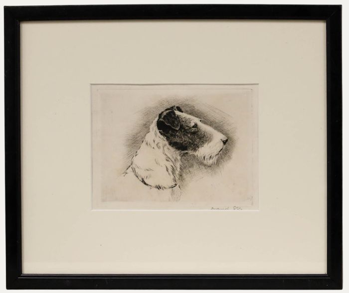 David Gee - Framed Early 20th Century Etching, Wirehaired Fox Terrier