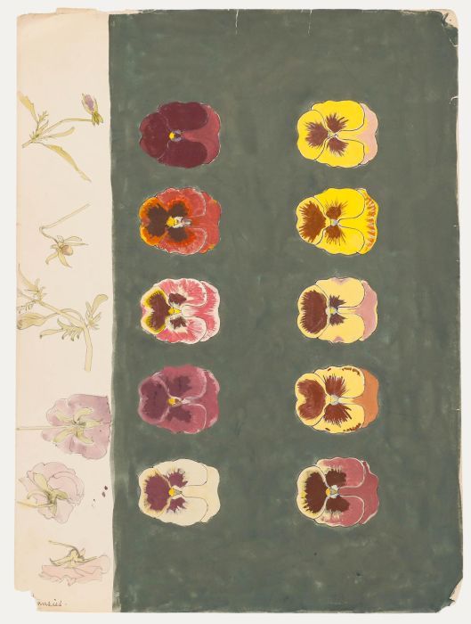 Leslie Charles Boyce - Mid 20th Century Gouache, Pansies