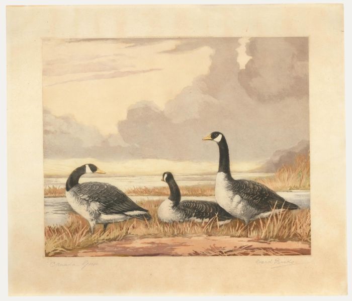Reuben Ward Binks (1880-1950) - Mid 20th Century Aquatint, Canada Geese