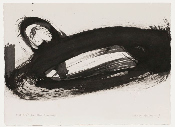 Richard J.S. Young - Contemporary India Ink, I didn't see this coming