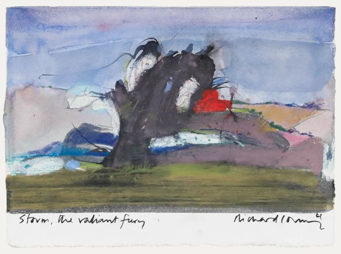Richard J.S. Young - 2021 Mixed Media, Storm, the Valiant Fury