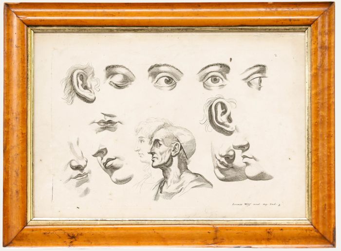 Jeremias Wolff (1667-1724) - 18th Century Engraving, Eye Studies