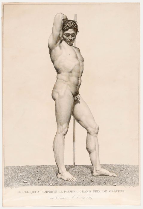 François Forster - Early 19th Century Engraving, Academic Male Nude