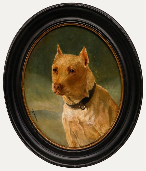 Early 20th Century Oil - Portrait of a Terrier