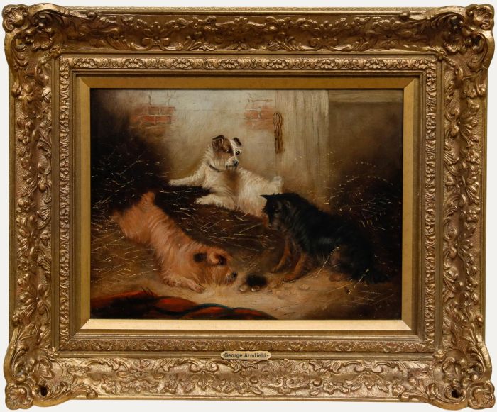 George Armfield - Framed Late 19th Century Oil, Terriers Ratting in a Barn