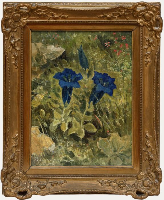 Hermann Ludwig Umgelter (1891-1962) - Mid 20th Century Oil, Gentiana acaulis