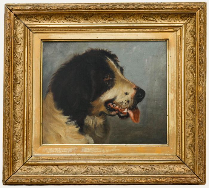 19th Century Oil - Study of a Newfoundland