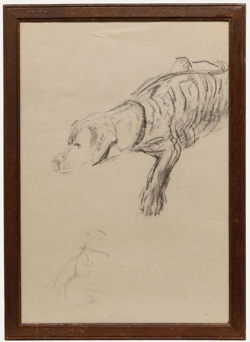 Mid 20th Century Graphite Drawing - Resting Dog