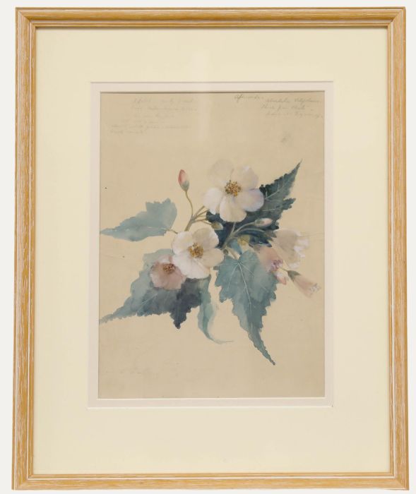 Vernon de Beauvoir Ward ARBA - Framed Mid 20th Century Watercolour, Africana