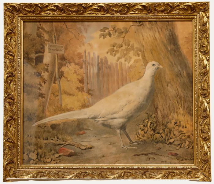 Pieter Gerardus Bernhard - 1843 Watercolour, Pheasant in Arendsdorp