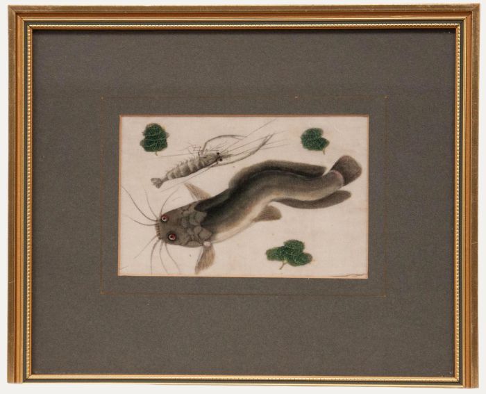 Chinese School 19th Century Watercolour - Catfish & Shrimp