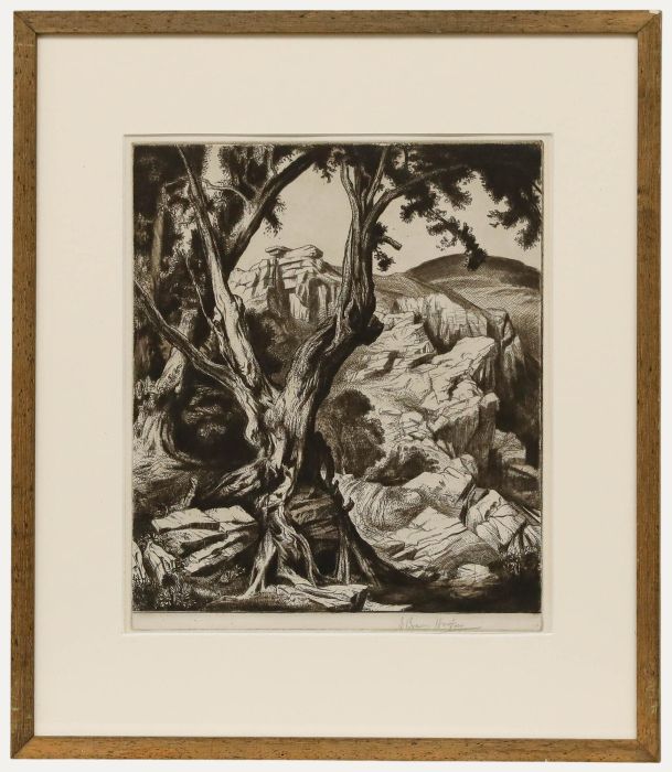 Edward Bouverie Hoyton - Mid 20th Century Etching, The Gnarled Tree