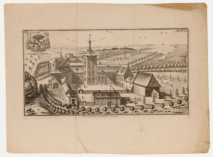 Harrewijn after Bruyn - 18th Century Engraving, Prospectus Castelli Carloo