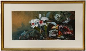 Anthony Connelly - Framed Early 20th Century Watercolour, Flowers & Foliage